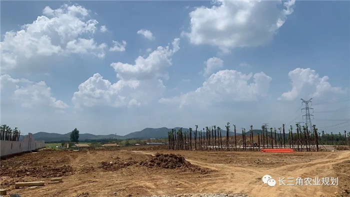 為了幫助園區(qū)的提檔升級，南京市農(nóng)業(yè)農(nóng)村局特委托中農(nóng)富通編制《南京市農(nóng)業(yè)園區(qū)發(fā)展研究報告》，以期從產(chǎn)業(yè)發(fā)展路徑、園區(qū)發(fā)展模式、保障措施等多維度為南京市農(nóng)業(yè)園區(qū)未來三年的發(fā)展做統(tǒng)籌謀劃。 8月19日，中農(nóng)(圖11)