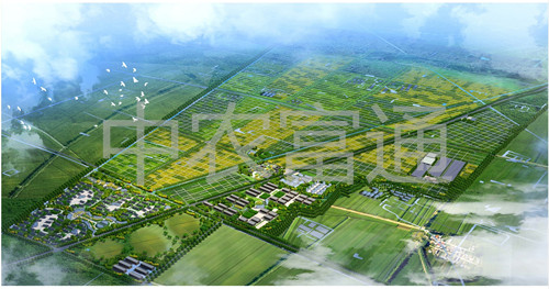 1、安徽省亳州市渦陽縣糧食產(chǎn)業(yè)現(xiàn)代農(nóng)業(yè)示范區(qū)總體規(guī)劃（2011-2015年）_副本.jpg