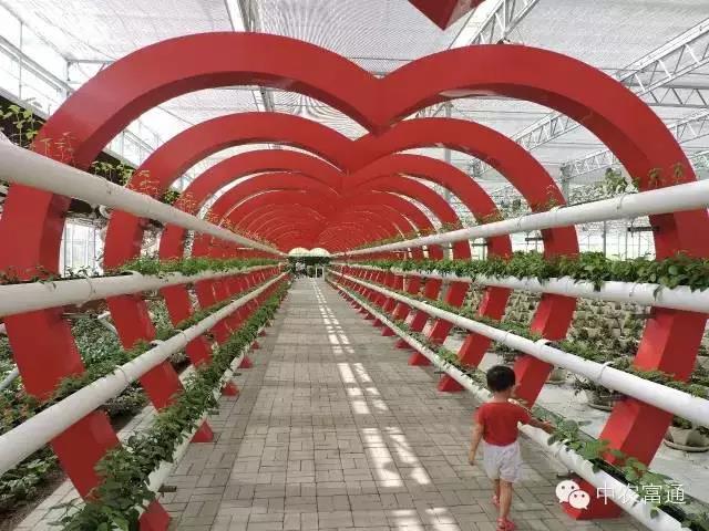 微信圖片5.jpg