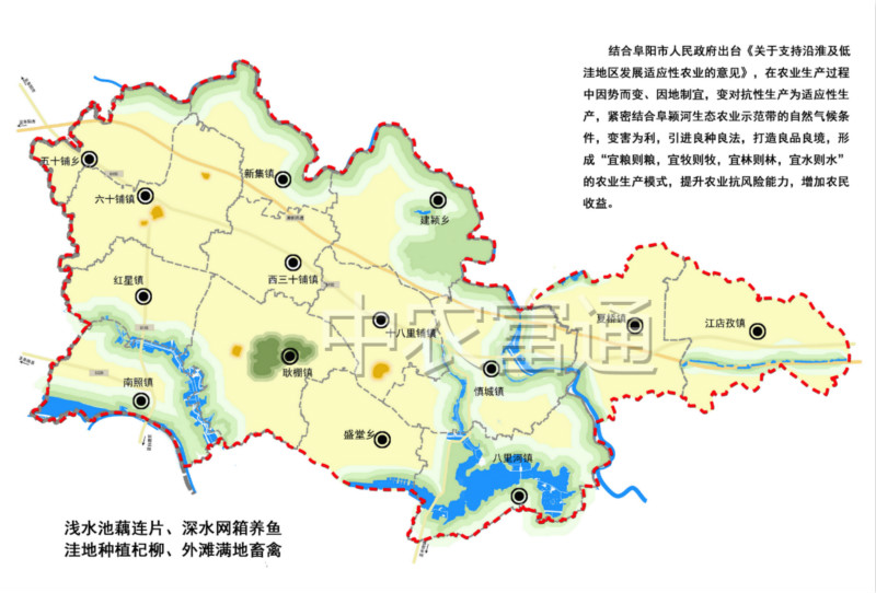 網(wǎng)站2.jpg