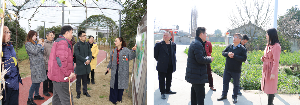 《旌陽區(qū)鄉(xiāng)村振興戰(zhàn)略發(fā)展總體規(guī)劃（2018-2022年）》項目 初期調(diào)研工作順利完成(圖2)