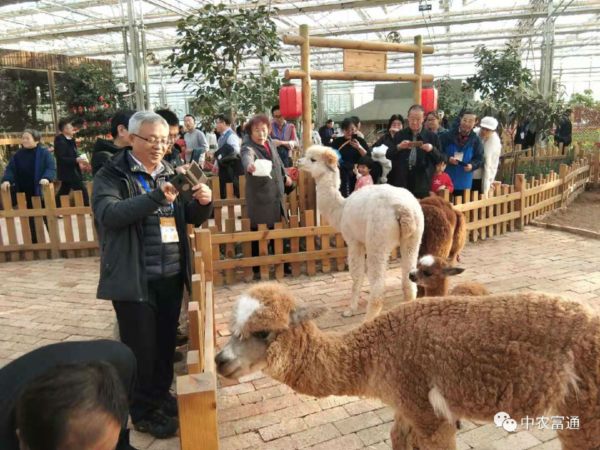 微信圖片_20191210155958.jpg
