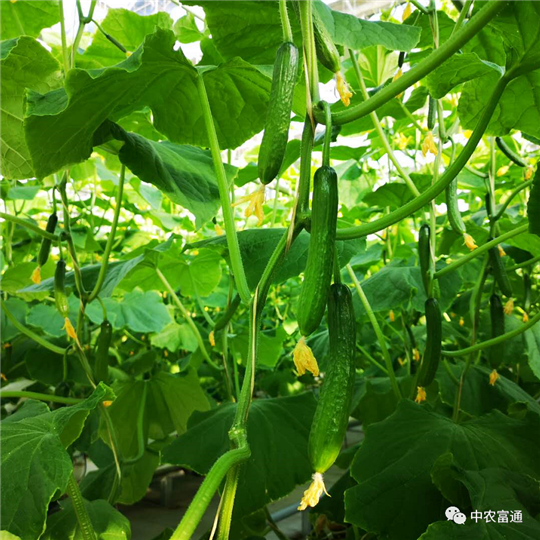 微信圖片_20200408092832.png