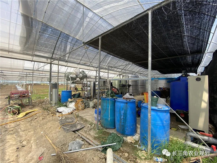 為了幫助園區(qū)的提檔升級，南京市農(nóng)業(yè)農(nóng)村局特委托中農(nóng)富通編制《南京市農(nóng)業(yè)園區(qū)發(fā)展研究報告》，以期從產(chǎn)業(yè)發(fā)展路徑、園區(qū)發(fā)展模式、保障措施等多維度為南京市農(nóng)業(yè)園區(qū)未來三年的發(fā)展做統(tǒng)籌謀劃。 8月19日，中農(nóng)(圖5)