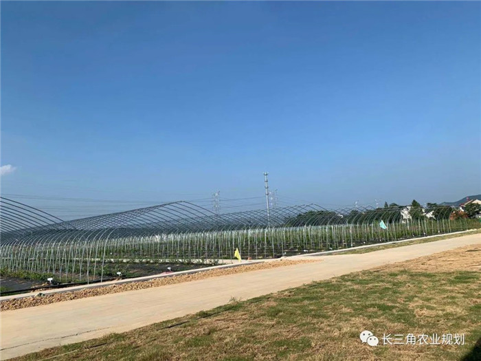 為了幫助園區(qū)的提檔升級，南京市農(nóng)業(yè)農(nóng)村局特委托中農(nóng)富通編制《南京市農(nóng)業(yè)園區(qū)發(fā)展研究報告》，以期從產(chǎn)業(yè)發(fā)展路徑、園區(qū)發(fā)展模式、保障措施等多維度為南京市農(nóng)業(yè)園區(qū)未來三年的發(fā)展做統(tǒng)籌謀劃。 8月19日，中農(nóng)(圖21)