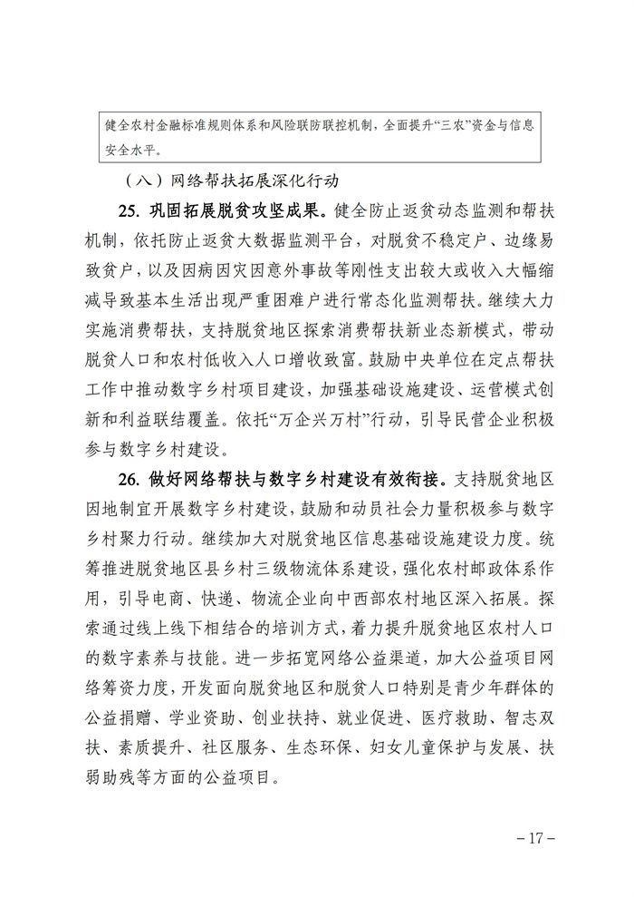 數(shù)字鄉(xiāng)村發(fā)展行動計劃（2022-2025年）_16.jpg