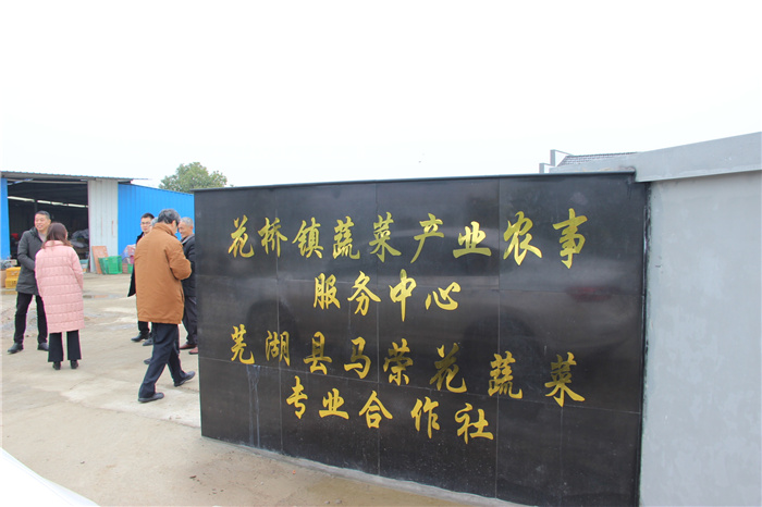 《灣沚區(qū)花橋鎮(zhèn)十四五現(xiàn)代農(nóng)業(yè)發(fā)展規(guī)劃》初期調(diào)研工作順利完成！(圖6)
