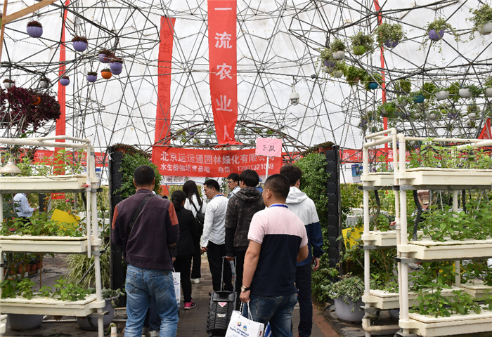 喜報！第九屆北京（通州）國際都市農(nóng)業(yè)科技節(jié)榮獲“特色展示設(shè)計展會”稱號(圖7)